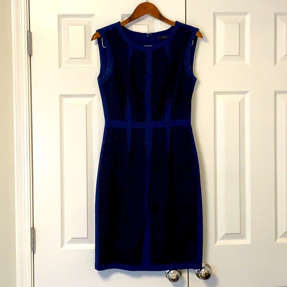 Perfect work to evening BCBG dress, size 6